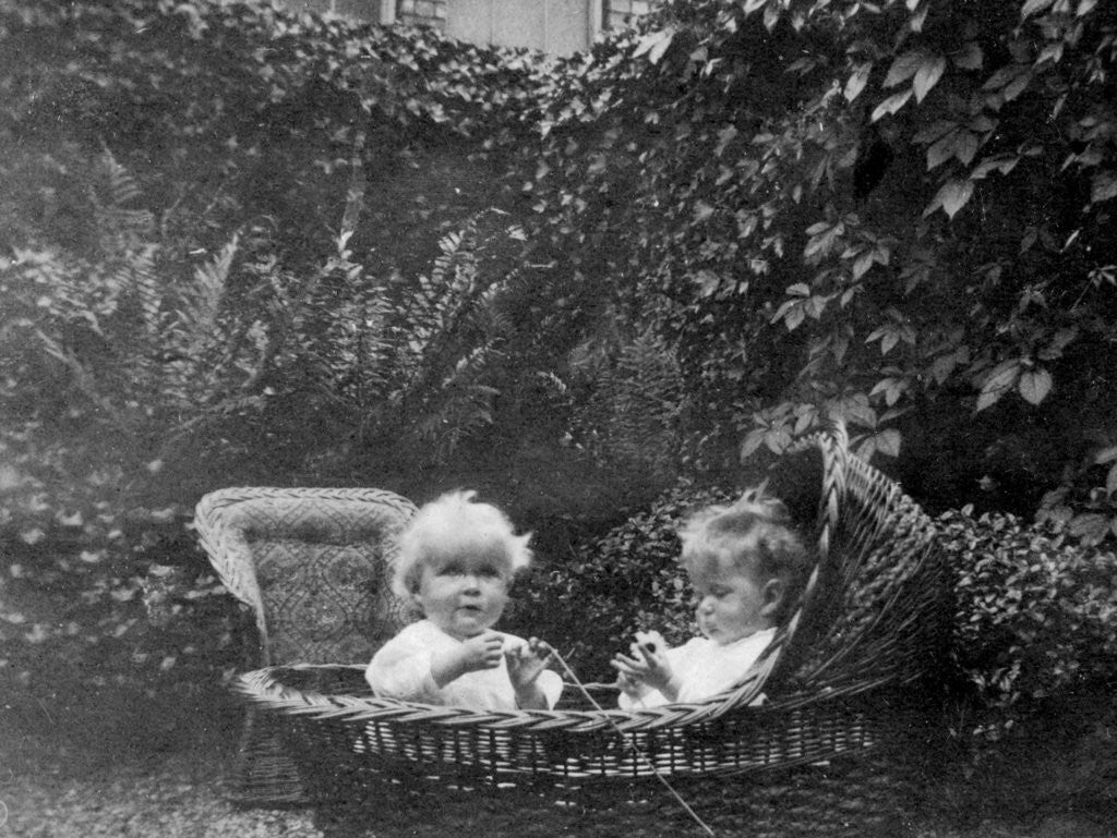 Detail of One year old by Anonymous