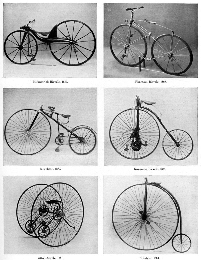 Detail of The evolution of the bicycle by Anonymous