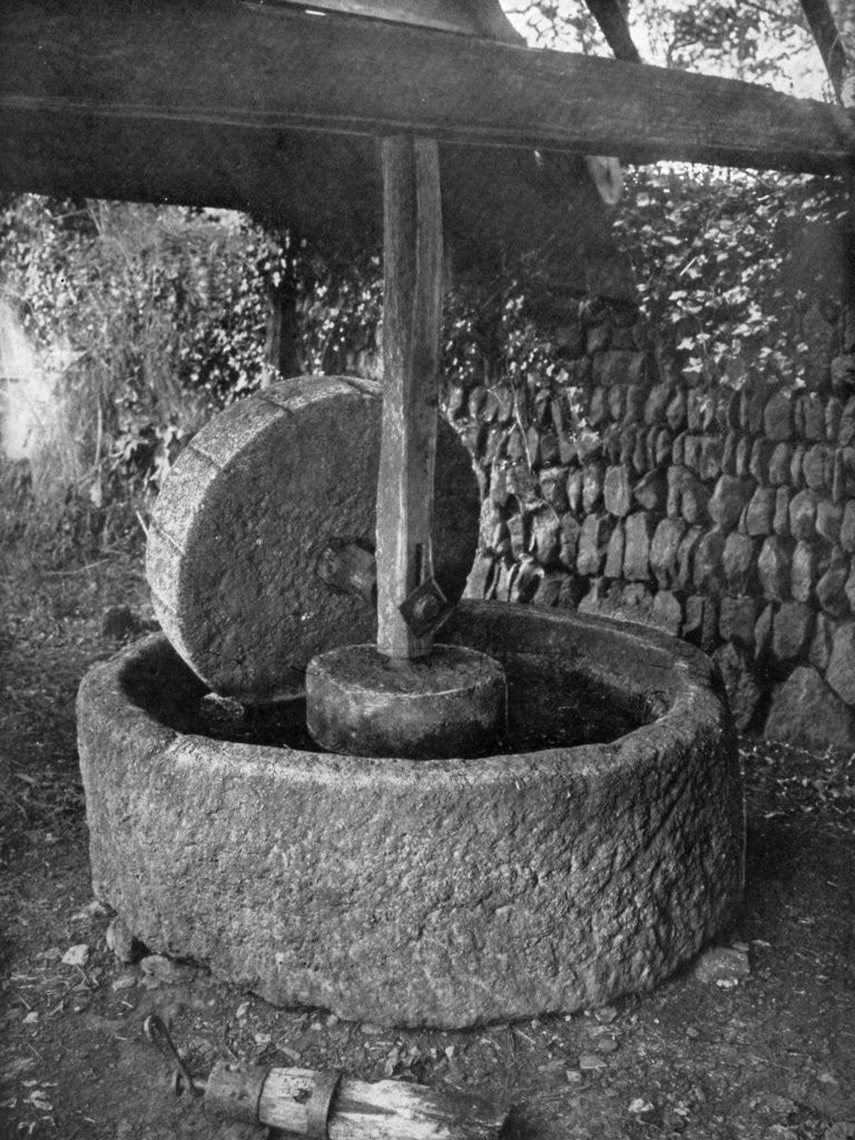 Detail of Old cider mill, Cornwall by Gibson & Son