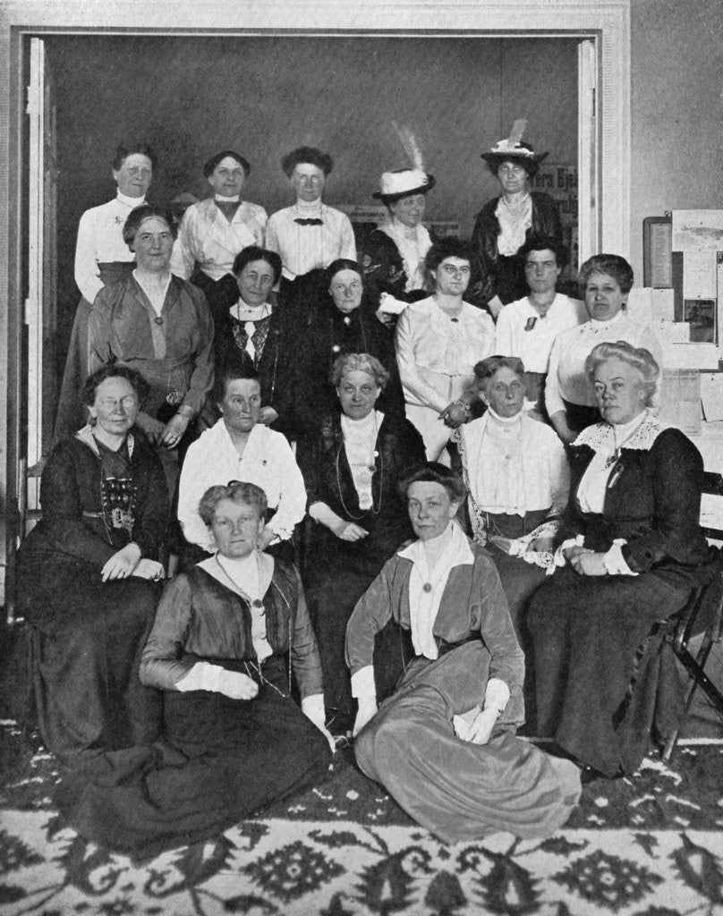 Detail of The international gathering of the women suffrage workers by Anonymous