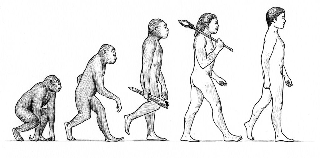 Detail of Evolution of Man by Karen Humpage