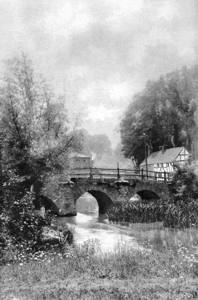 Detail of Sweet rusticity by Sprague & Co