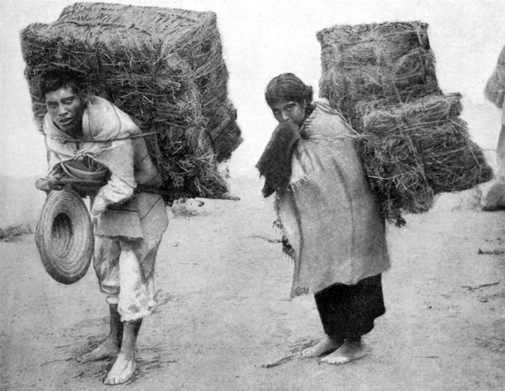Detail of Natives of Mexico by Anonymous