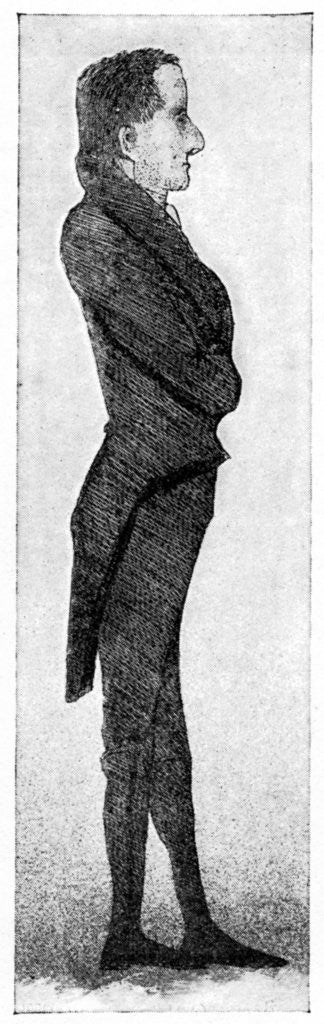 Detail of The Gentle Elia by Rischgitz Collection