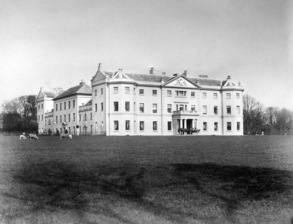 Detail of Saltram House by Anonymous