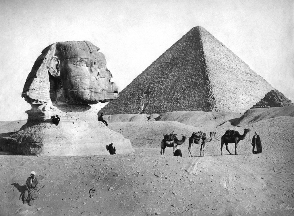 Detail of The Sphinx and Pyramid at Giza, Egypt by Anonymous