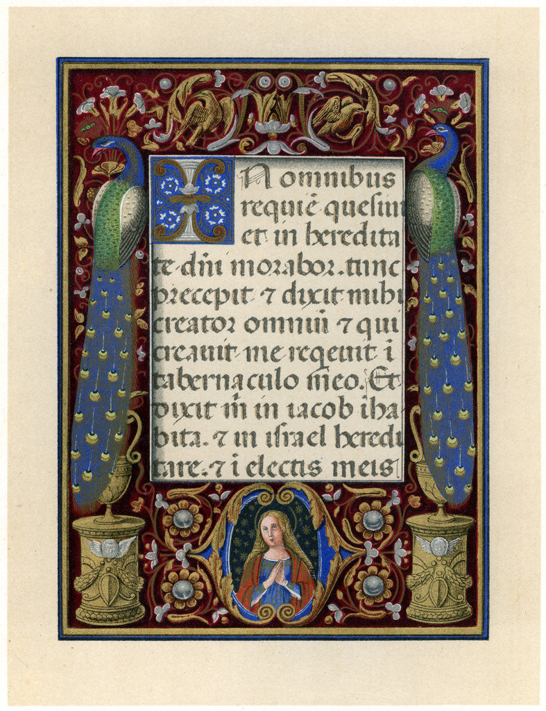 Detail of Text page with the Virgin and two peacocks by Anonymous