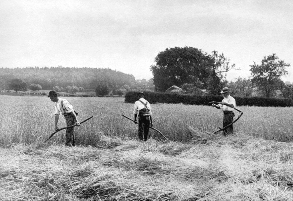 Detail of Harvesting hay by Anonymous