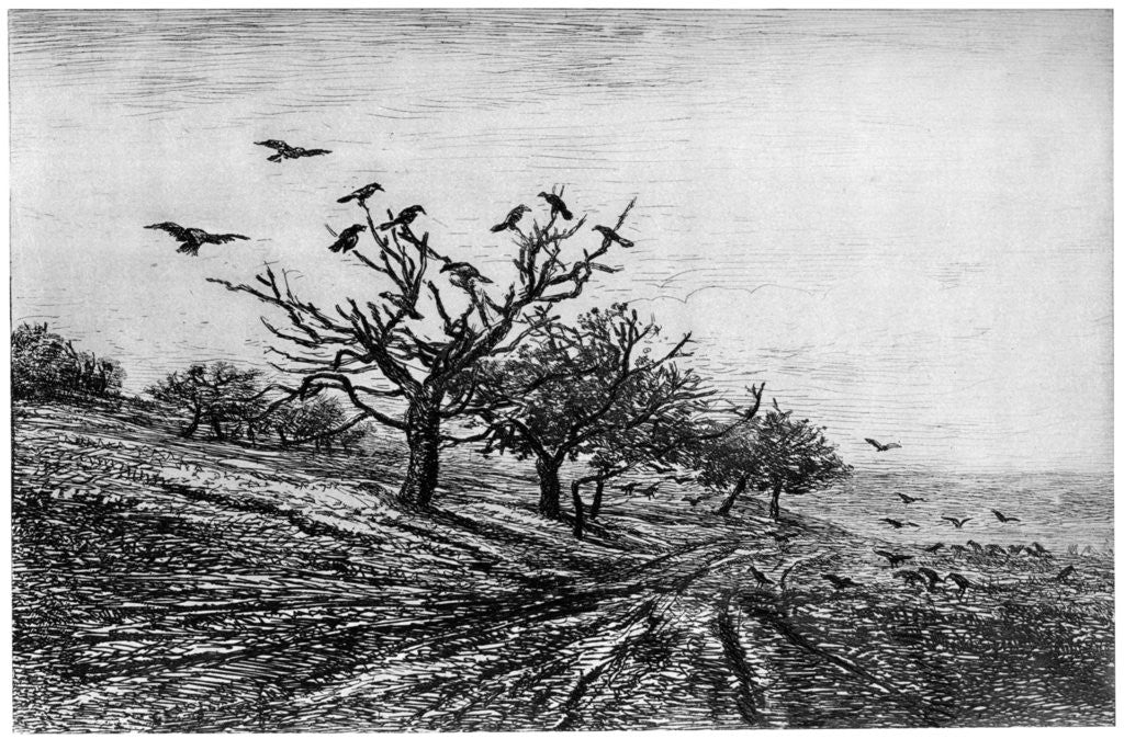 Detail of Arbre a Corbeaux by Charles François Daubigny