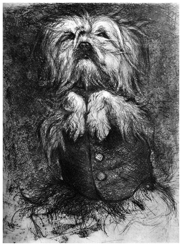 Detail of L'Intrigant' by Ludovic Lepic