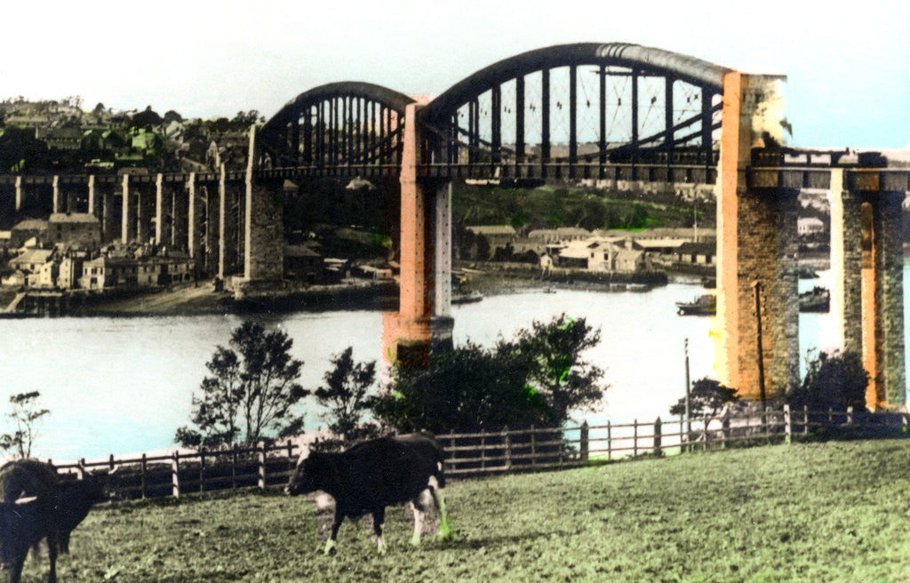 Detail of The Royal Albert Bridge, Saltash, Cornwall by Cavenders Ltd