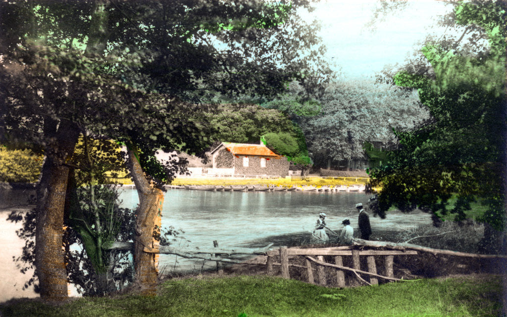 Detail of Ruswarp Dam, Whitby, North Yorkshire by Cavenders Ltd