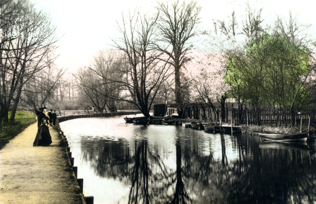 Detail of The River Gipping, Ipswich by Cavenders Ltd