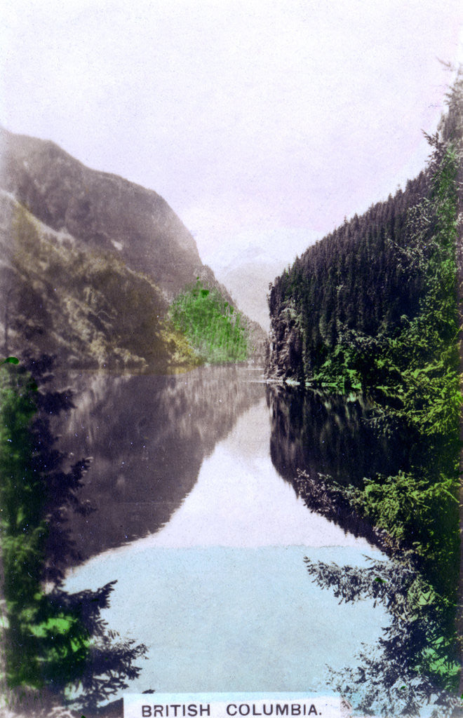 Detail of Coastal scene, British Columbia, Canada by Cavenders Ltd