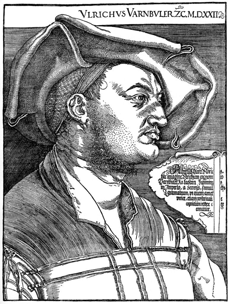 Detail of Ulrich Varnbüler by Albrecht Dürer