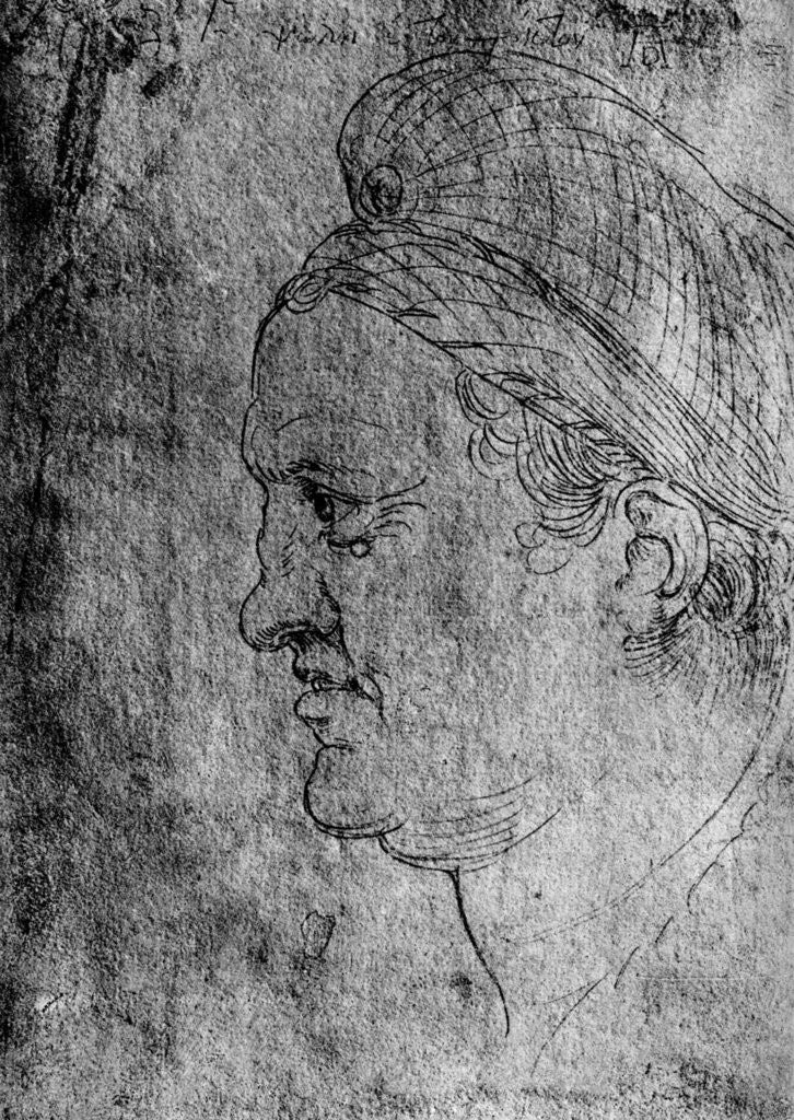 Detail of Willibald Pirckheimer by Albrecht Dürer