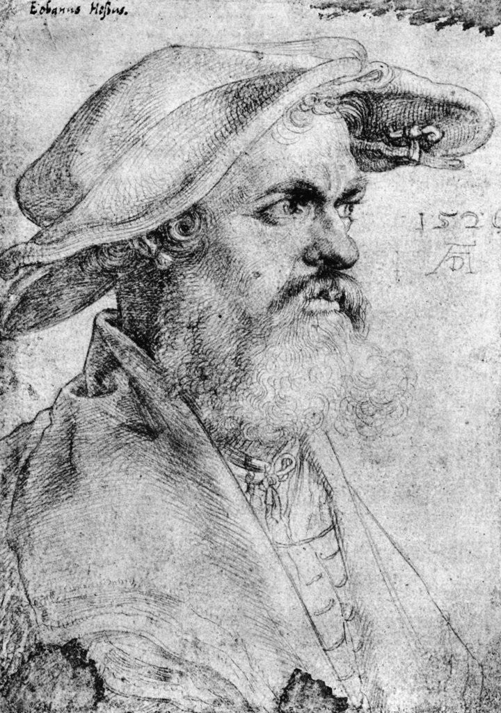 Detail of Eobanus Hesse by Albrecht Dürer