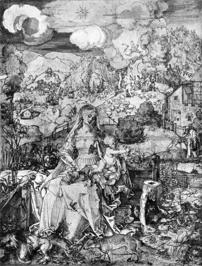Detail of The Virgin and many animals by Albrecht Dürer
