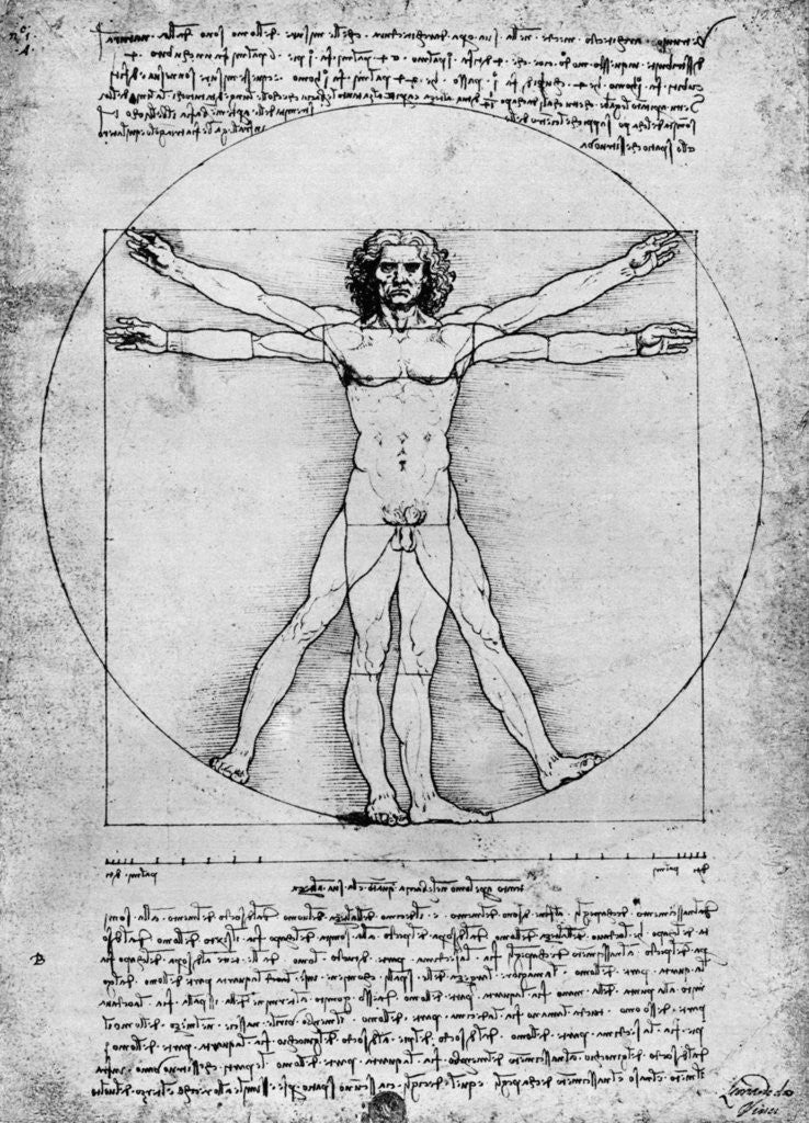 Detail of Proportions of the human figure by Albrecht Dürer