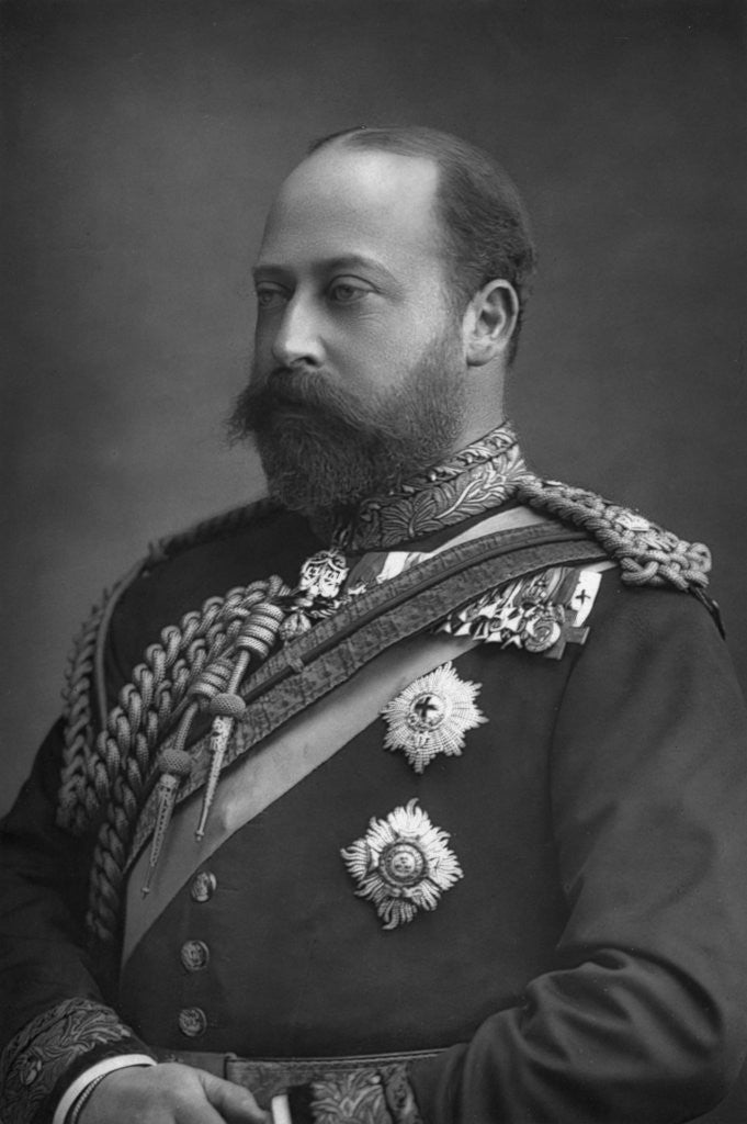 Detail of Prince Edward of Wales, the future King Edward VII of Great Britain by W&D Downey