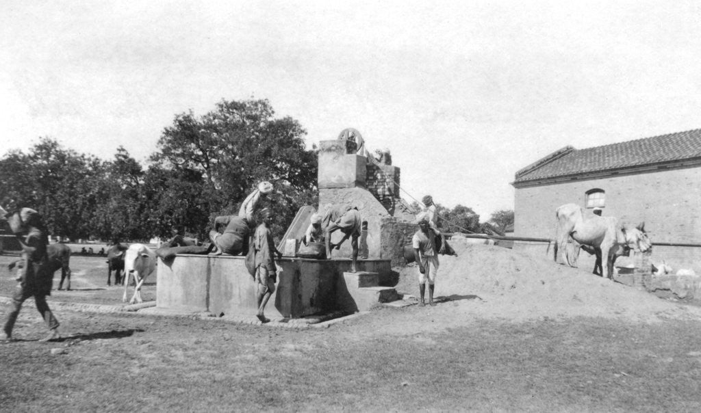 Detail of Water well, Mathura, India by Anonymous