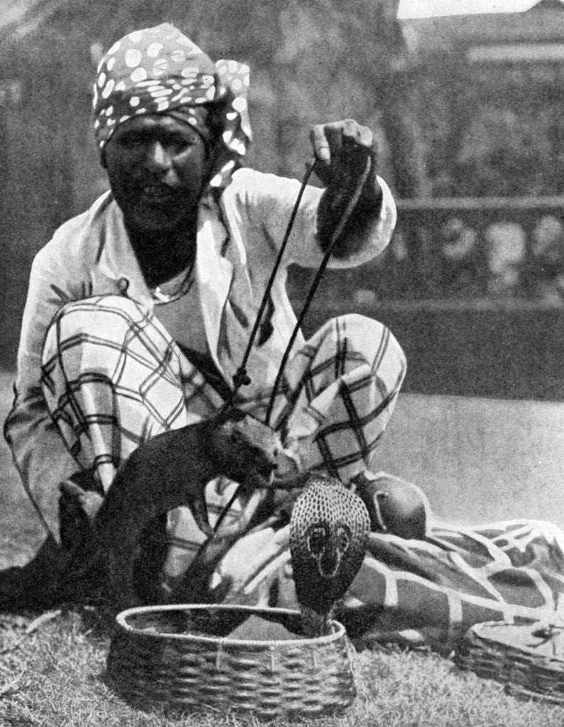 Detail of Indian snake charmer with mongoose and cobra by Fox