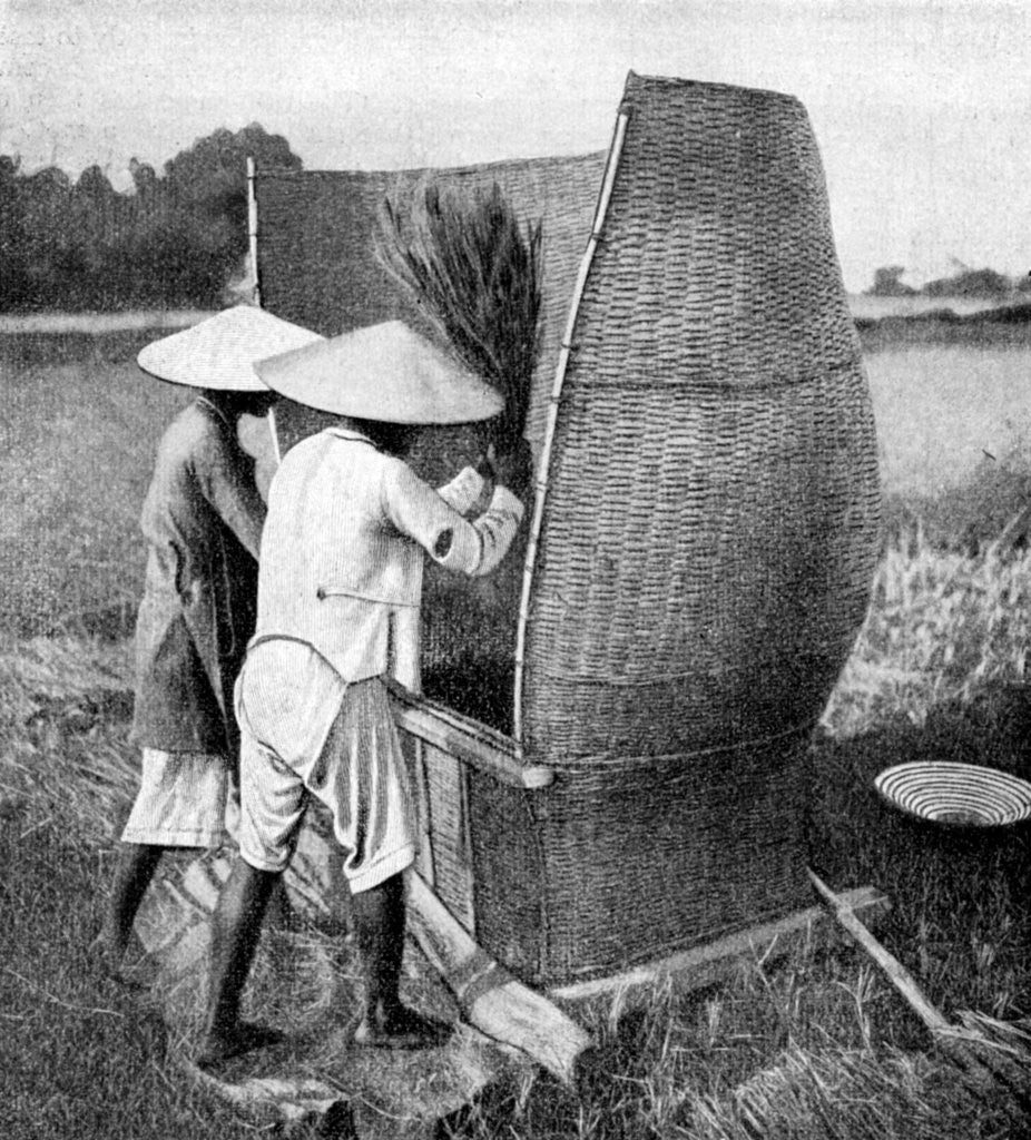 Detail of The Annamese way of reaping and threshing rice, Annam, Vietnam by Anonymous