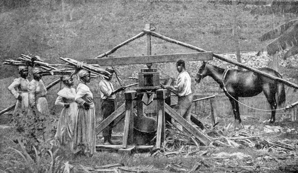 Detail of A wooden, horse-powered suger cane crushing mill, West Indies by Anonymous