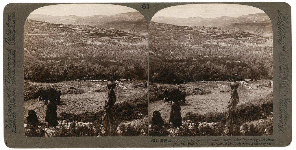 Detail of The Hill of Samaria, from the south, surrounded by its fig and olive groves, Palestine by Underwood & Underwood