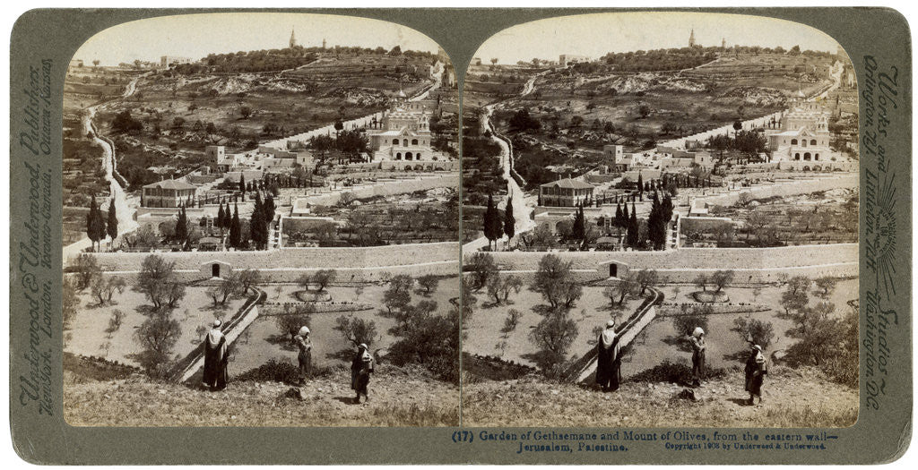 Detail of The Garden of Gethsemane and the Mount of Olives, Palestine by Underwood & Underwood