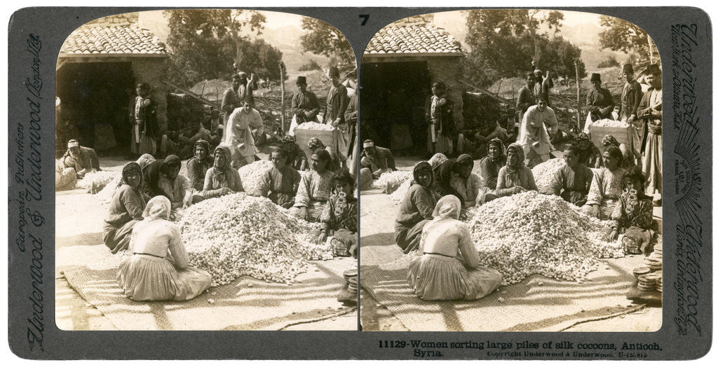 Detail of Women sorting large piles of silk cocoons, Antioch, Syria by Underwood & Underwood