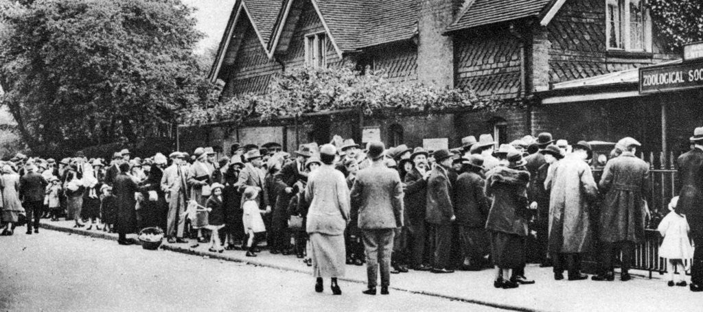 Detail of A queue for the zoo on a national holiday, London by Anonymous