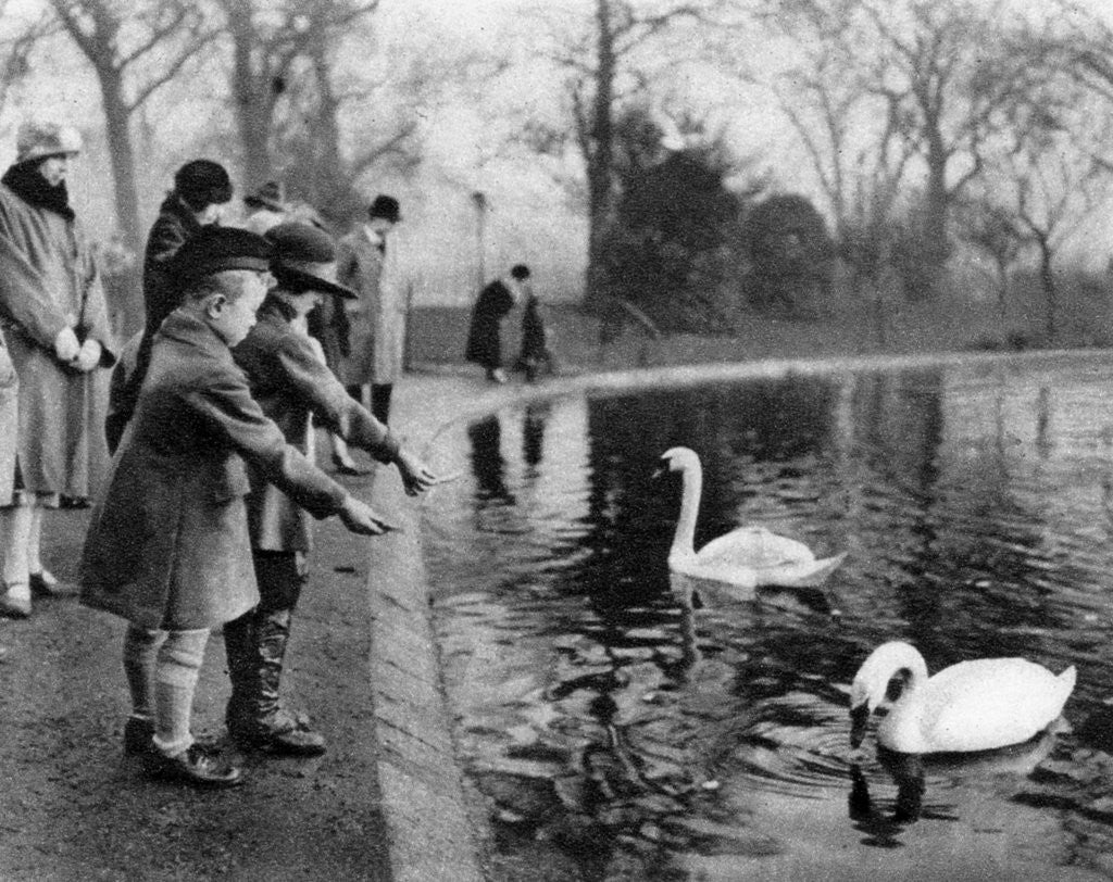 Detail of Children feeding the swans on the Serpentine, London by Anonymous