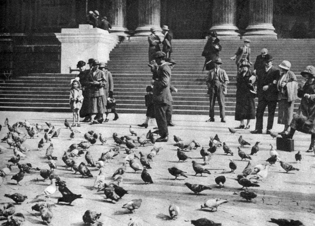 Detail of Pigeons in Trafalgar Square, London by Anonymous