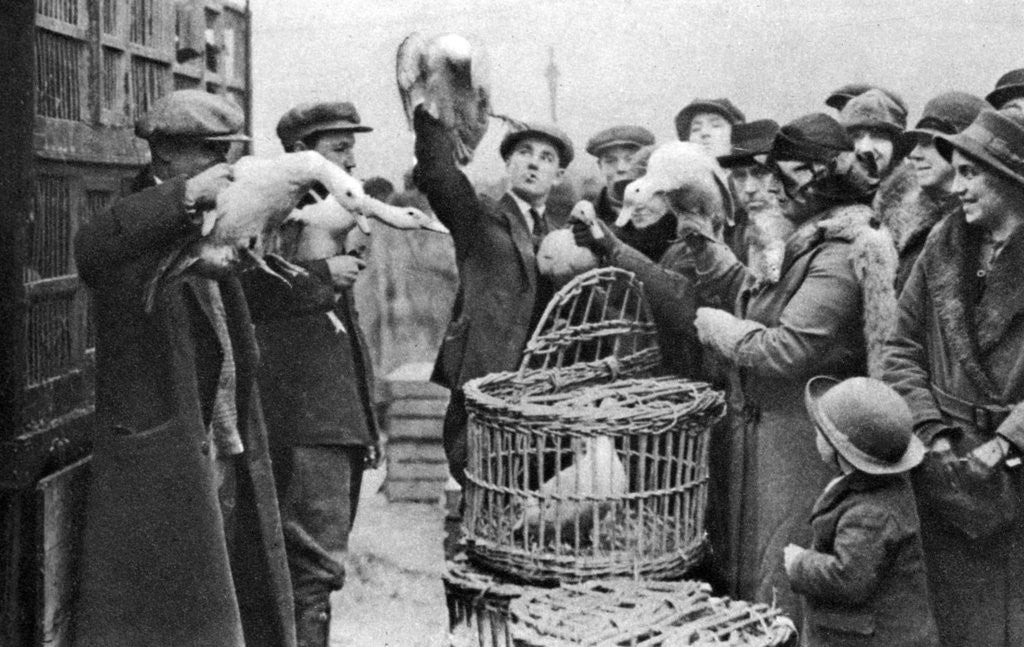 Detail of Poultry merchants, Caledonian Market, London by Anonymous