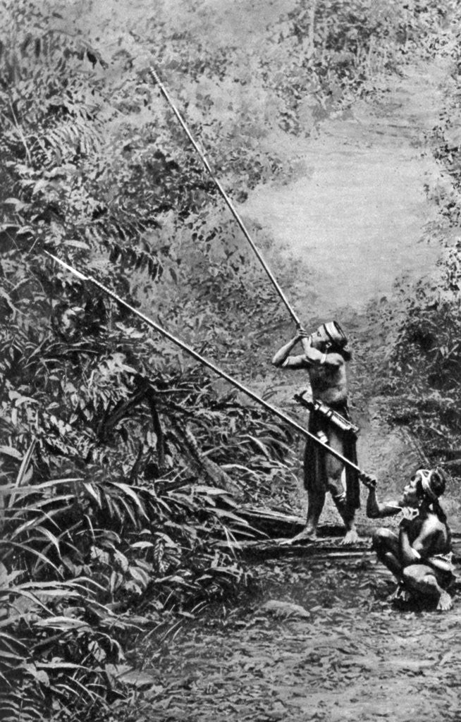 Detail of Kenyah men hunting for monkeys with blowpipes, Borneo by Dr Charles Hose