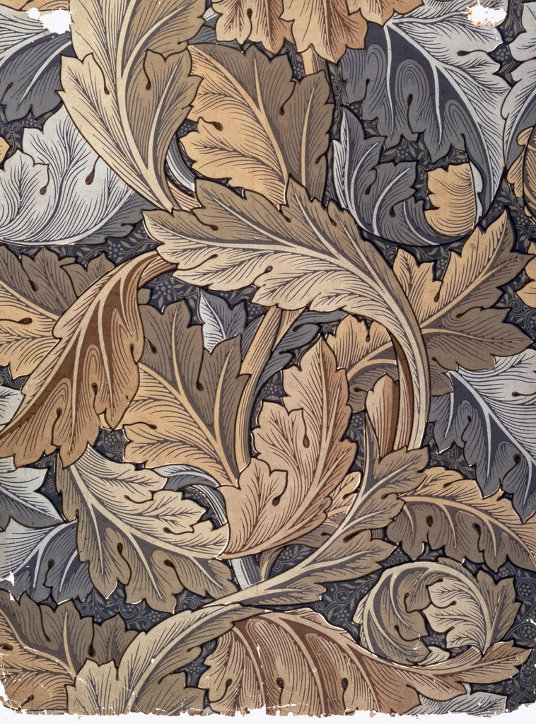 Detail of Acanthus, wallpaper designed by William Morris, 1875 by William Morris