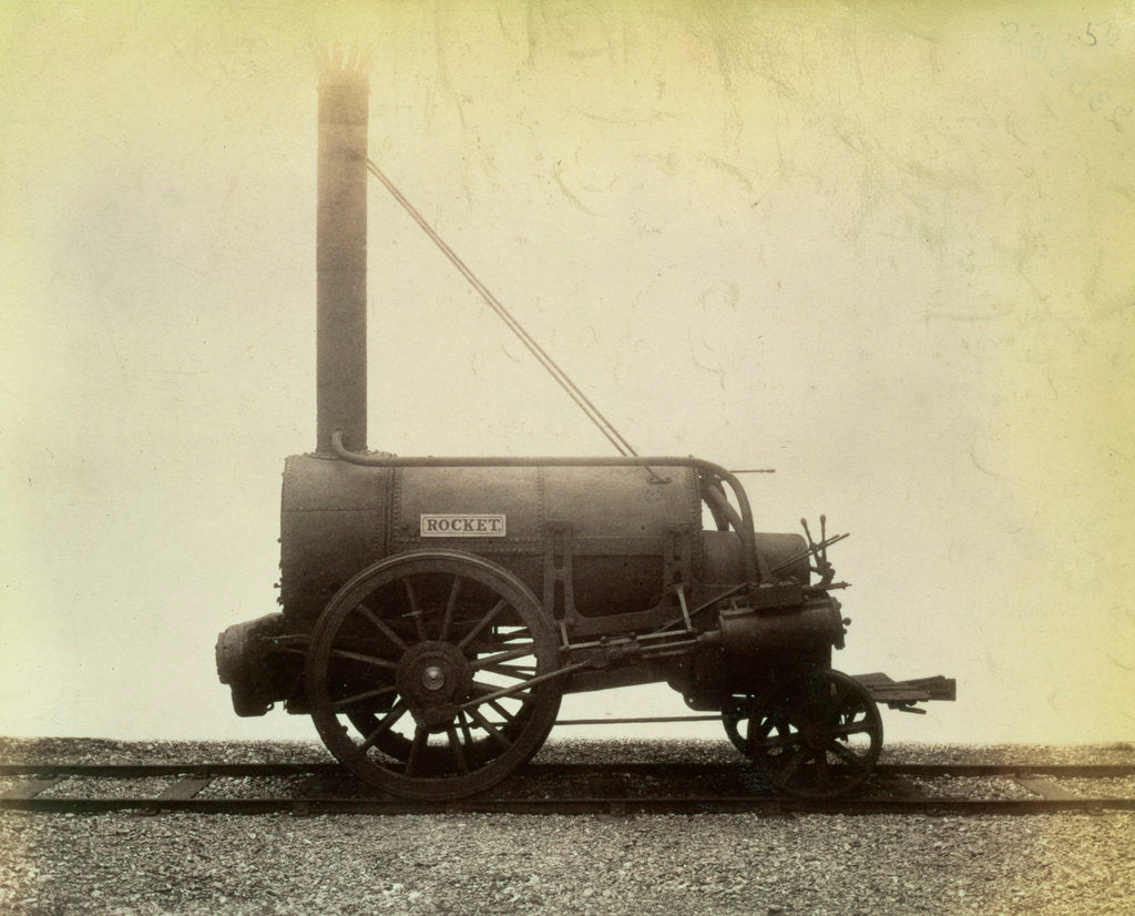 Detail of The 'Rocket' by Anonymous