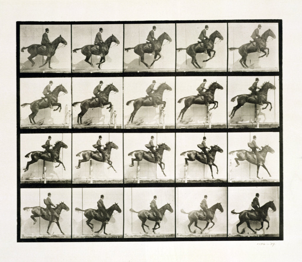 Detail of Man and horse jumping a fence, 1887 by Eadweard J Muybridge