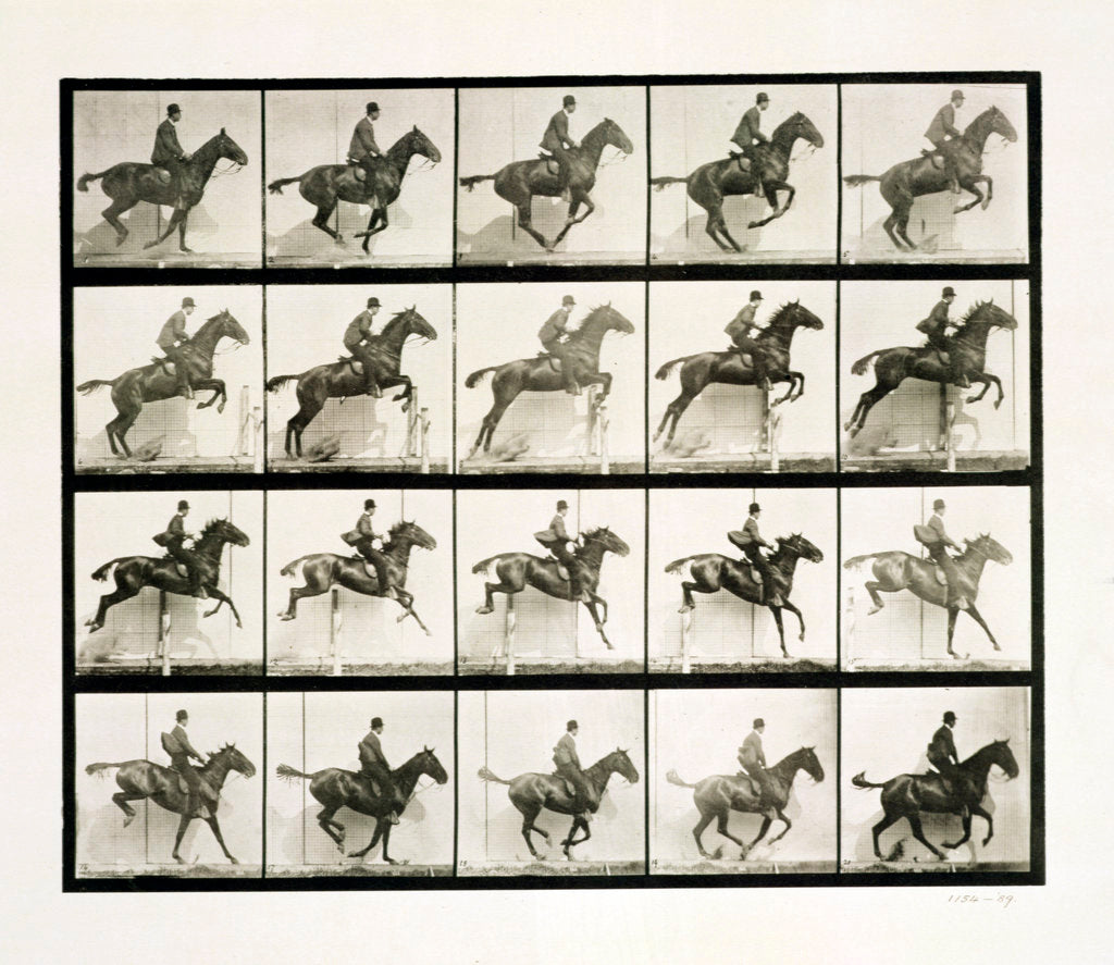 Detail of Man and horse jumping a fence by Eadweard J Muybridge