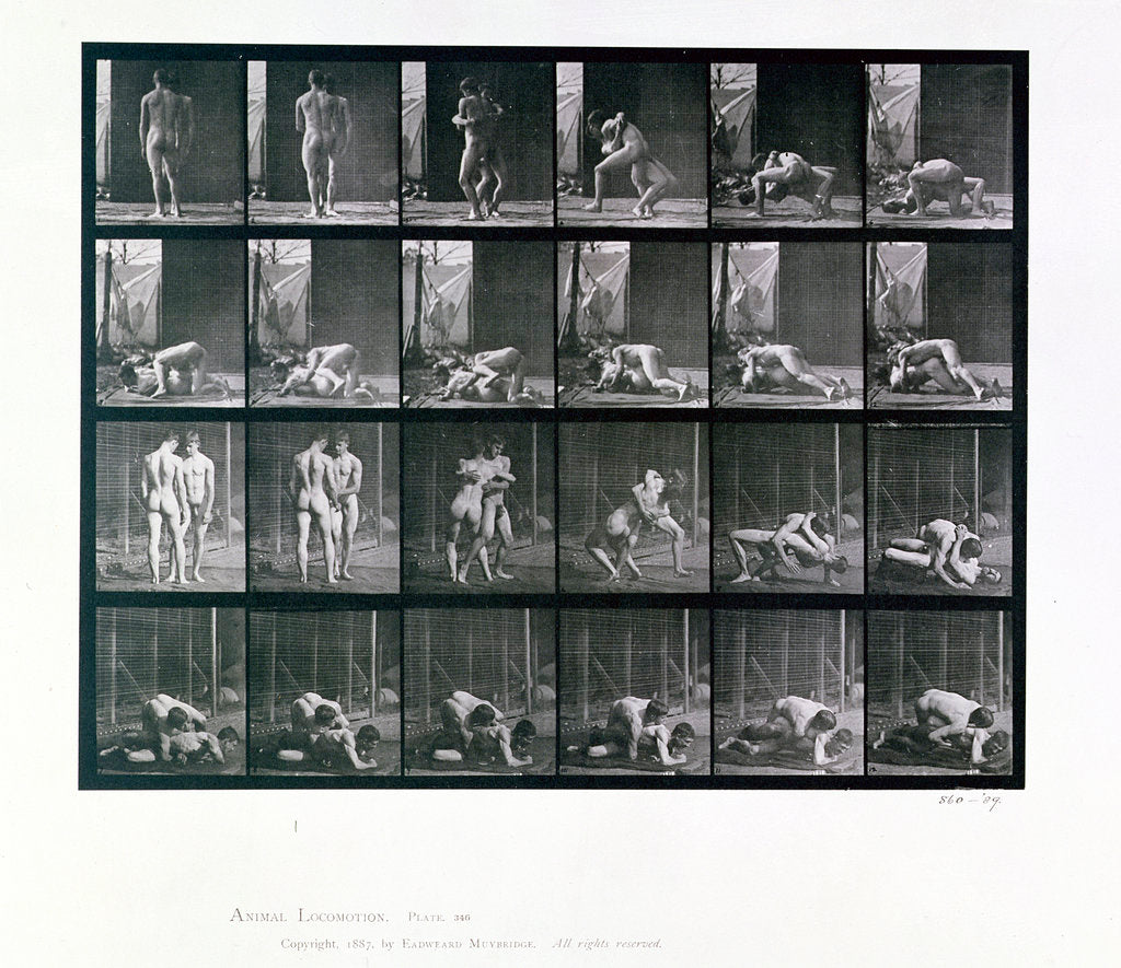 Detail of Two men wrestling by Eadweard J Muybridge