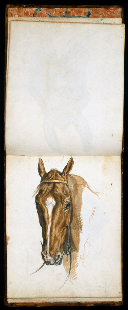 Detail of Horse's Head by Edwin Henry Landseer