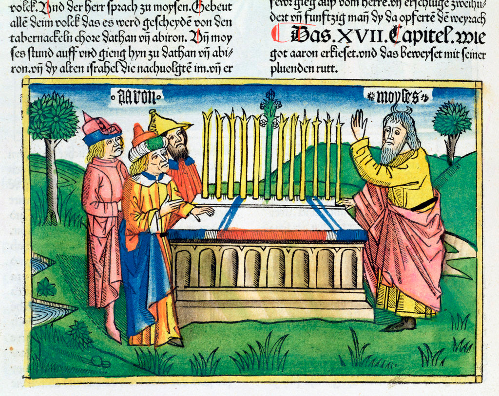 Detail of Numbers 17:1-11: Aaron's staff blooms on the altar by Anonymous