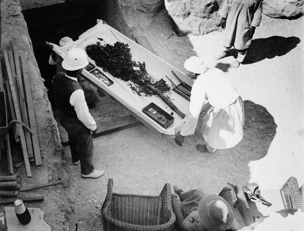 Detail of Funeral bouquet being removed from the tomb of Tutankhamun by Harry Burton