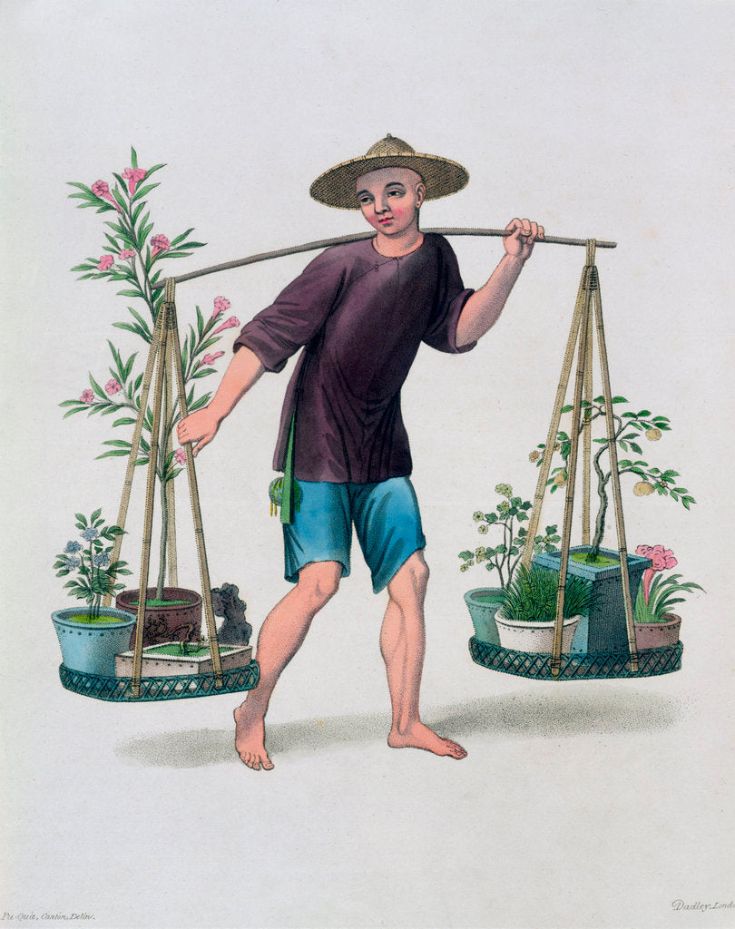 Detail of A Porter with Fruit Trees and Flowers by J Dadley