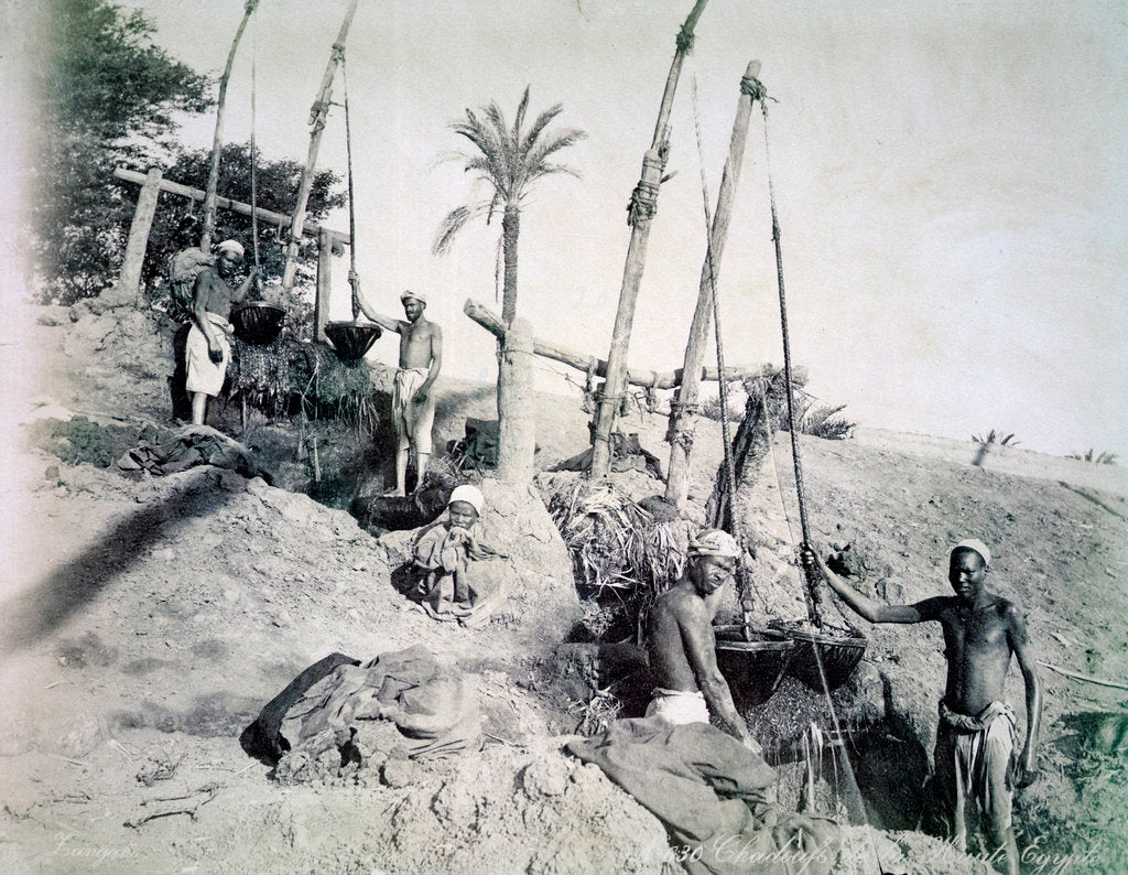 Detail of Shadufs in Upper Egypt by G Lekegian