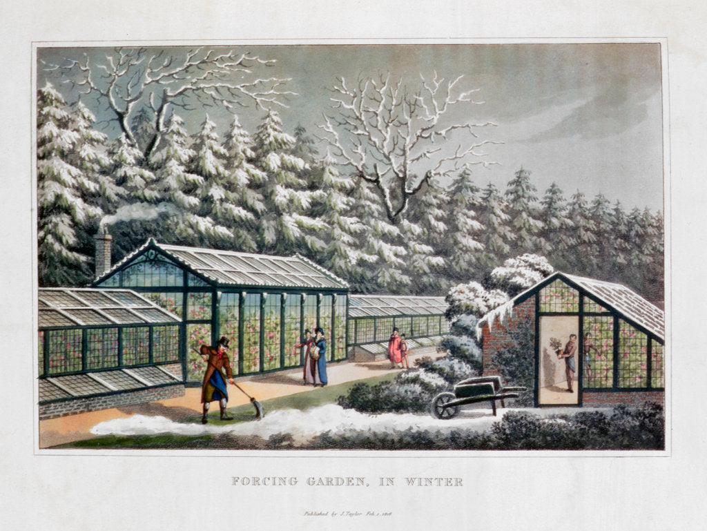 Detail of Forcing Garden in Winter by Humphry Repton