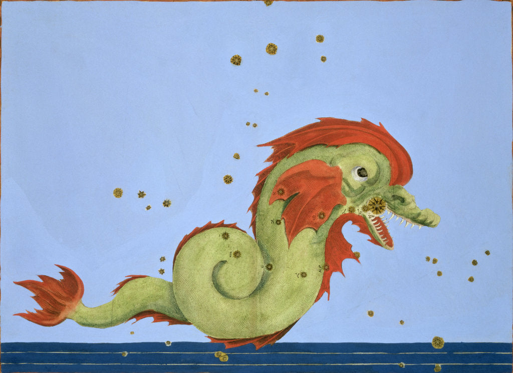 Detail of Constellation of Pisces, 1603 by Alexander Mair