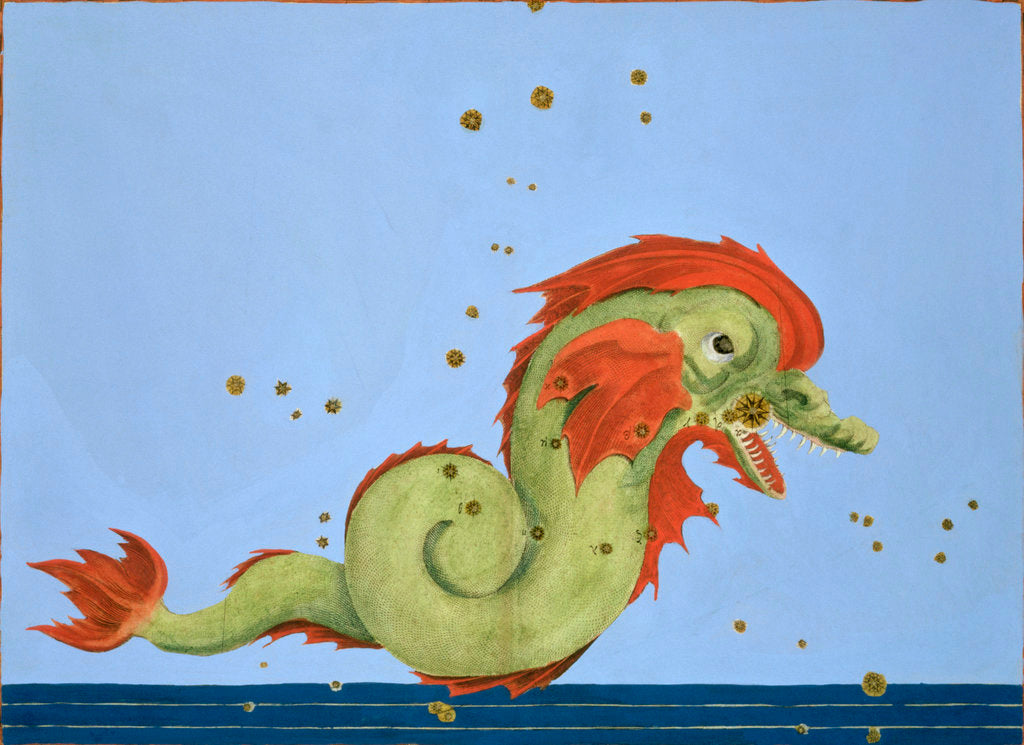 Detail of Constellation of Pisces by Alexander Mair