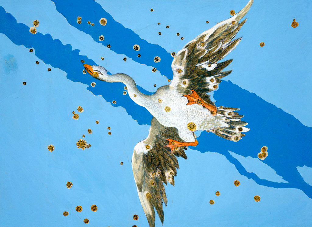 Detail of Constellation of Pisces by Alexander Mair